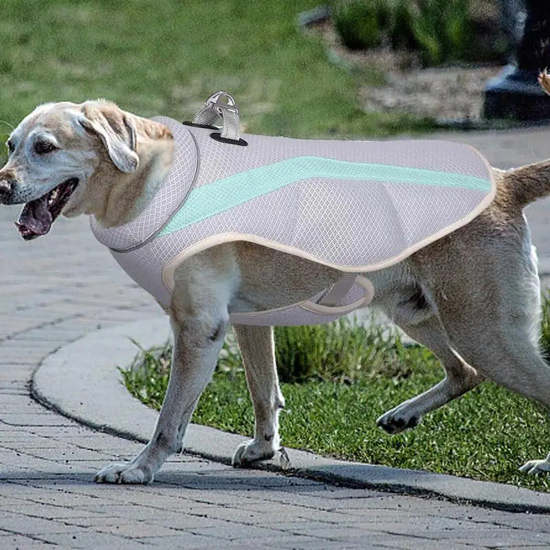 Summer dog cooling vest